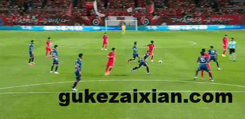 6699cd43g00t44e3b05xgd000dc006ig