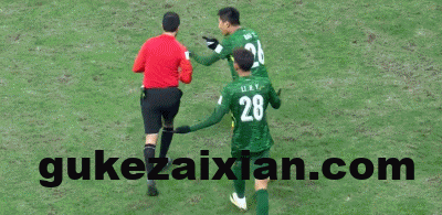 aab55f00g00t73zjd030id000b4005fg