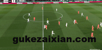 53144f4fg00t9r1ao035wd000bl005og